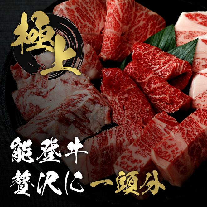 肉 【和牛セレブ】能登牛 一頭買い（12分割配送）2個口 黒毛和牛 霜降り ギフト 石川県 能美市 172111_DB048
