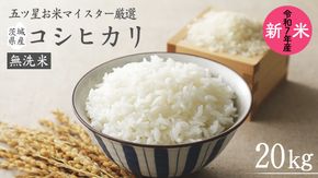 《 令和7年産 》茨城県産 無洗米 コシヒカリ 20kg ( 5kg × 4袋 ) こしひかり 米 コメ こめ 五ツ星 高品質 白米 精米 時短 期間限定 [AC029us]
