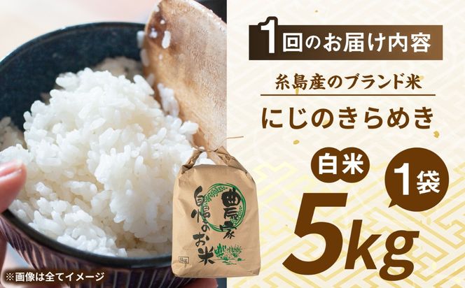 【先行受付】【全12回定期便】 にじのきらめき 白米 5kg 【2026年9月中旬以降順次発送】 糸島市産 糸島市 / 糸島の恵み コメ こめ ご飯[AGR017]