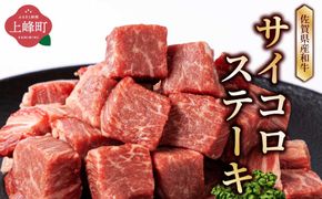 【佐賀産和牛】ヒレ サイコロ ステーキ 500g ステーキ E-282