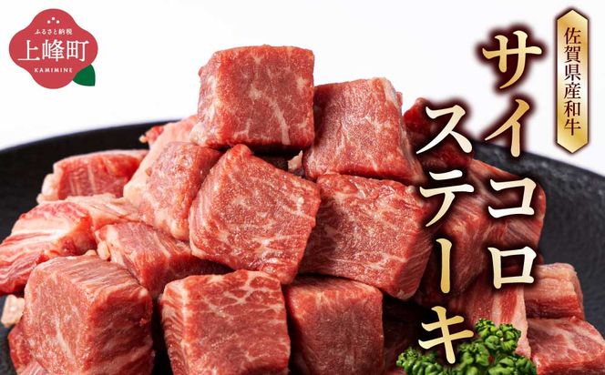 【佐賀産和牛】ヒレ サイコロ ステーキ 500g ステーキ E-282