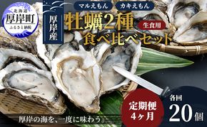 4か月 定期便 北海道 厚岸産 殻付牡蠣の食べ比べセット！（生食用）  牡蠣 カキ かき 生食 生食用 生牡蠣  食べ比べ 魚貝類 
