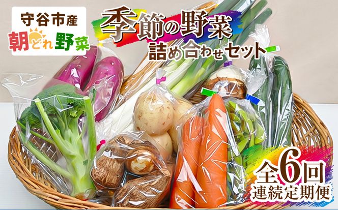 【定期便 6回】【毎月お届け】守谷市産 旬の野菜セット | 野菜 やさい 野菜セット 旬 国産 茨城県産 セット 詰め合わせ 定期 定期配送 冷蔵