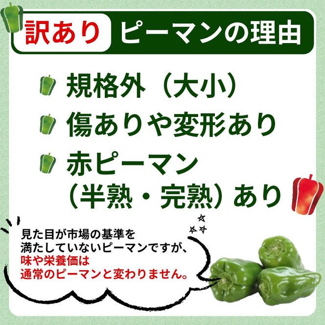 訳ありピーマン5kg [7-9月発送] 規格外 大容量 ピーマン 野菜 やさい 赤 緑 完熟 ぴーまん お裾分け 食品 旨味 ミネラル 栄養 自宅用 お試し ごはん 夕飯 おかず サラダ 被災 震災 火災 支援 大船渡 三陸 岩手県 国産