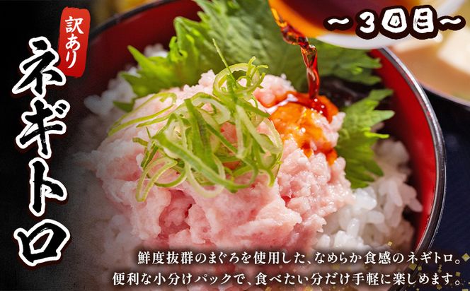 海鮮 定期便 12回 マグロ かつおお楽しみ定期便 - 訳あり マグロ 鮪 カツオ 鰹 漬けマグロ たたき ネギトロ 配送回数 定期便 小分け 海鮮 魚介 冷凍食品 加工品 海鮮丼 刺身 株式会社大熊 高知県 香南市 冷凍 Wda-0054