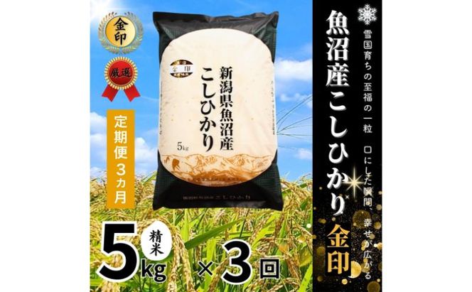 【定期便全3回毎月発送】魚沼産コシヒカリ金印(精米)5kg 米 こしひかり 定期 新潟 十日町市