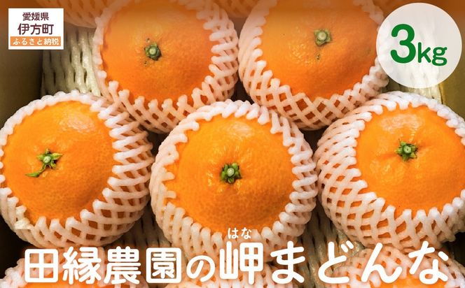 【先行予約】【数量限定】田縁農園の岬（はな）まどんな（生果）3kg （2026年11月25日より順次発送） IKTA003