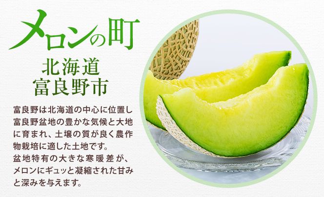 ＜2026年発送＞富良野メロン (青肉) 「キスミー」2玉 [ メロン フルーツ 果物 北海道 富良野 ]