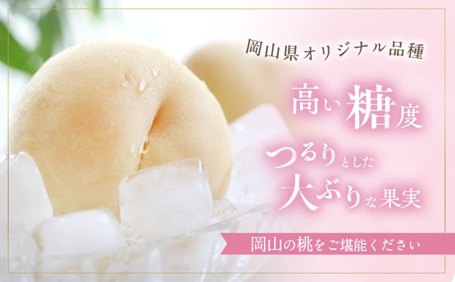 桃 2026年 先行予約 おかやま 夢 白桃 約2kg 5～7玉 贈答用 もも モモ フルーツ 果物 岡山 赤磐市産 農マル園芸 あかいわ農園