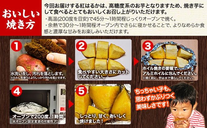 熊本県大津町産 中無田農園の紅はるか 約5kg (大中小サイズ不揃い) 熊本県大津町 《12月上旬-1月中旬頃出荷予定》 さつまいも 芋 スイートポテト 干し芋にも 名産地 特産品 秋 旬---fn_nkmtben_ae121_8000_5kg--