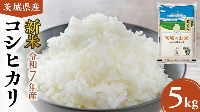 【 令和7年産 】 茨城県産 コシヒカリ 5kg 米 お米 コメ 白米 こしひかり 茨城県 精米 新生活 応援 新米 [DK001ci]