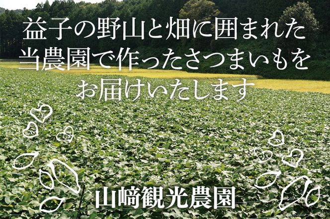 山﨑観光農園の栗かぐや 約 6kg｜栃木県 益子町 ふるさと納税 里山 ほくほく さつまいも 栗かぐや 栗のような甘さ (AU016)