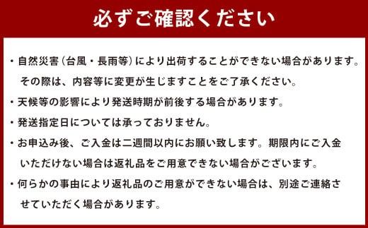 ＜宮崎県産【2025年 数量限定】大粒  完熟キンカン たまたま 250g 小袋10袋入り＞2025年1月中旬～2月下旬迄に順次出荷【c1396_hi】 金柑 きんかん フルーツ 柑橘 果物 くだもの 数量限定 小袋 セット