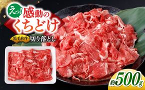 【2026年1月～順次発送】国産 黒毛和牛 熟成肉 切り落とし 500g / 小分け 国産牛 お肉 牛肉 切落し 冷凍 焼肉 すき焼き / 南島原市 / ふるさと企画[SBA094]