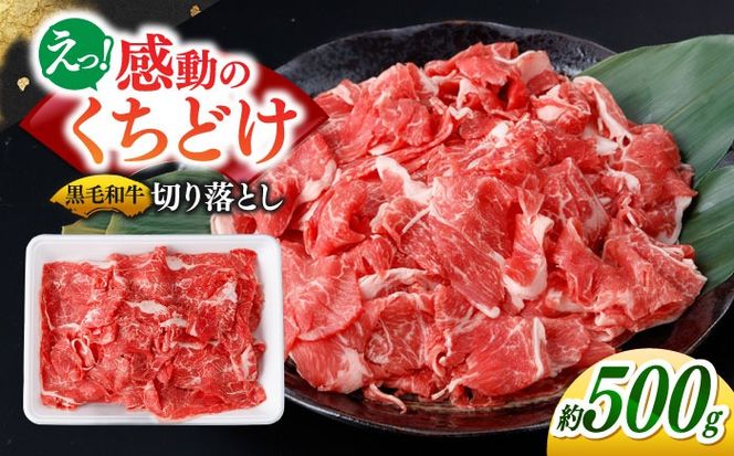y茧쓇szY јa n ؂藎Ƃ 500g /  Y   ؗ Ⓚ ē Ă / 쓇s / ӂ邳Ɗ[SBA094]