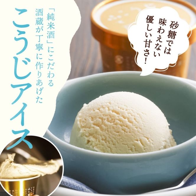 こうじアイス 9個 セット ギフト スイーツ 