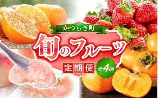 【定期便4回】フルーツ王国かつらぎ町よりお届け！旬のフルーツ定期便【kgr025】