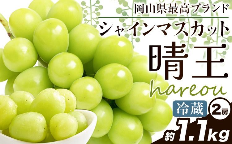 ぶどう [2025年先行予約] シャインマスカット 晴王 1.1kg (2房)[2025年9月中旬-11月上旬頃出荷]ハレノスイーツ 岡山中央卸売市場店 マスカット 送料無料 岡山県 浅口市 フルーツ 果物 贈り物 ギフト 国産 [配送不可地域あり]---124_c910_9c11j_24_28000_1100---