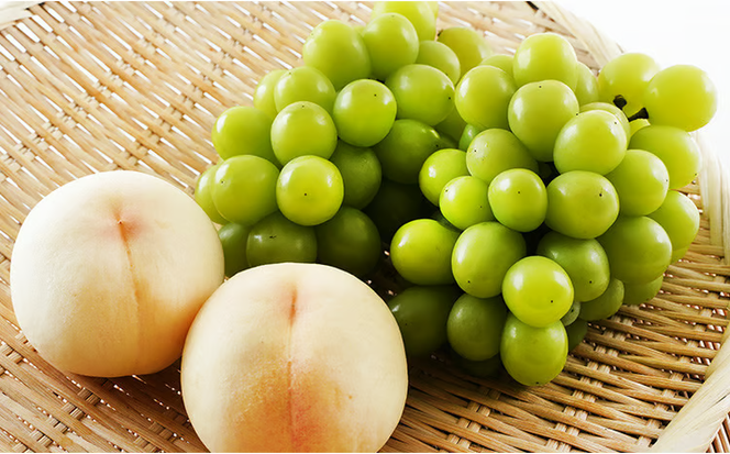 桃 ぶどう 2026年 先行予約 果物 詰合せ 白桃 2玉（1玉220g以上）シャインマスカット 晴王 2房（1房480g以上）化粧箱入り 岡山県産 国産 フルーツ ギフト フルーツ詰め合わせ 贈答品 セット [№5735-1469]