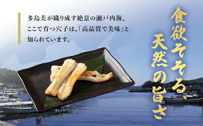 あなご 先行予約 山銀商店 白焼き あなご (合計約300g) 産地直送 穴子 魚介類