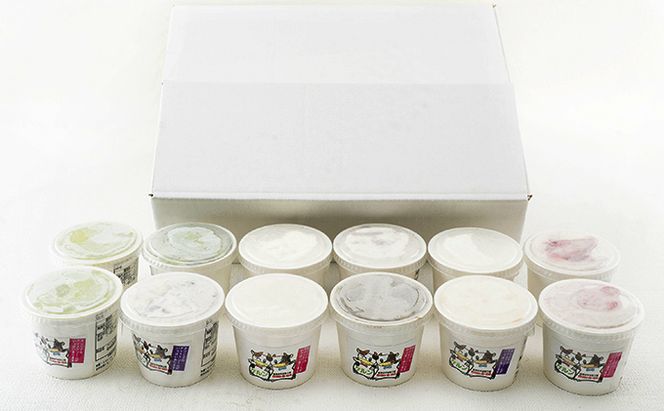 オリジナル ジェラート アイス 12個 セット 9種 アイスクリーム スイーツ デザート バニラ チョコ フルーツ ミルク 抹茶 いちご お菓子 菓子 カップ 
