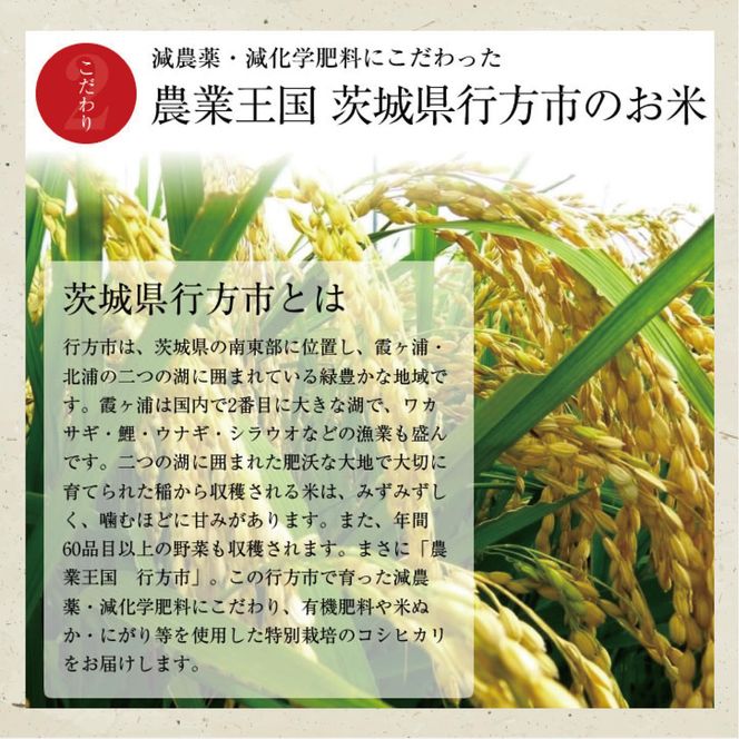 L-9 令和５年産【12ヵ月定期便】田宮さんちのコシヒカリ 5kg×12回