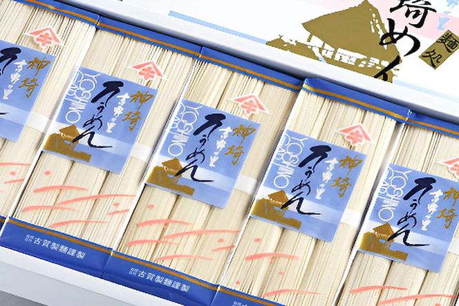 佐賀県特産品 神埼そうめん 10入 【素麺 そうめん 乾麺 お中元 贈答用 無添加 夏 自家用 麺類 簡単 手軽 保存食 佐賀県産 国産】(H014144)