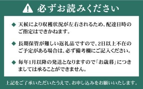 【その日一番のあまおうを即日出荷！】 本格 あまおう ( 285g × 2パック) いちご 苺 糸島市 / みのりのりん[ABD002]