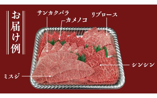 【スピード発送】【常陸牛】焼肉セット 400g (茨城県共通返礼品) 国産 牛肉 肉 お肉 焼き肉 バーベキュー BBQ カメノコ サンカクバラ ミスジ イチボ ササミ ザブトン シンシン カイノミ ボンジョー タテバラ 三角バラ サイコロステーキ サーロイン リブロース ランプ ウワミスジ ヒレ