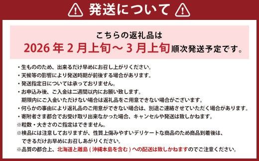  【訳あり】 完熟あまおう 2パック 約275g×2パック 合計約550g 【2026年2月上旬～3月上旬までに出荷予定】いちご 苺 訳あり 家庭用 果物 フルーツ