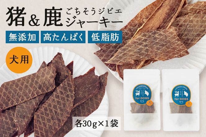 y򕌌SÒzW[L[ (p) e1  Ysgp Y ybgt[h hbOt[h WrG 531