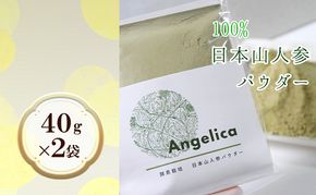 ★希少★日本山人参（葉と茎の粉末） 2袋 飲料類 お茶 野菜/人参 