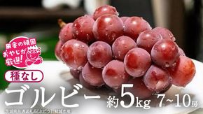ゴルビー 約5kg (7~10房) 【2026年9月より発送開始】（茨城県共通返礼品 [ぶどう]：結城市産）  ぶどう ブドウ 葡萄 果物 フルーツ 茨城県産 [BI422-NT]