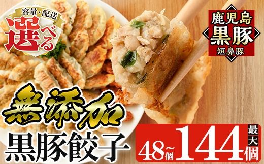 ＜容量・定期便が選べる＞鹿児島黒豚「短鼻豚」無添加餃子セット(48個・96個・3回定期便)【鹿児島ますや】姶良市 ギョーザ 餃子 無添加 惣菜 おかず おつまみ 冷凍 黒豚 国産野菜 ぎょうざ a441 a442 a880