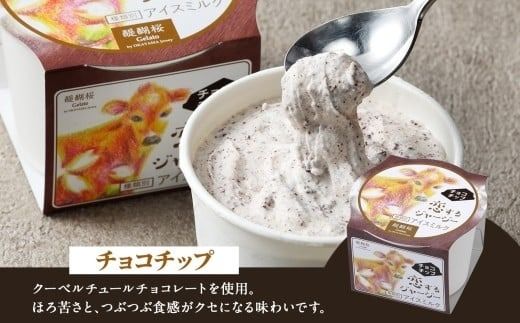 【ジェラート醍醐桜】【熨斗】恋するジャージーチョコチップ 6個セット / 岡山 真庭 醍醐桜 極上スイーツ 濃厚 プレゼント 贈答 デザート ギフト ジャージー牛 ミルク ジェラート おやつ チョコレート 子供から大人まで 冷凍 人気 贅沢 【nhss017n-01】