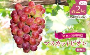 【2026年先行予約】 ぶどう 岡山県産 皮ごと 食べられる マスカット ビオレ 種無し 約2kg （3～5房）  《2026年9月下旬-10月下旬頃出荷》 葡萄 ブドウ フルーツ 果物 数量限定 期間限定 岡山 里庄町 