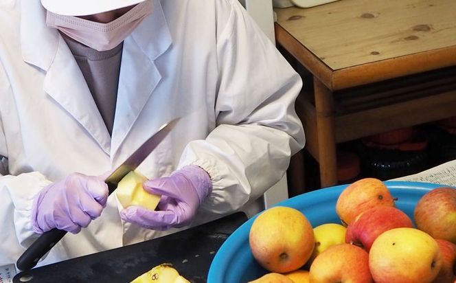 【余市産】すこやか自然農園「ドライフルーツりんご」10g×2Pセット_Y034-0108