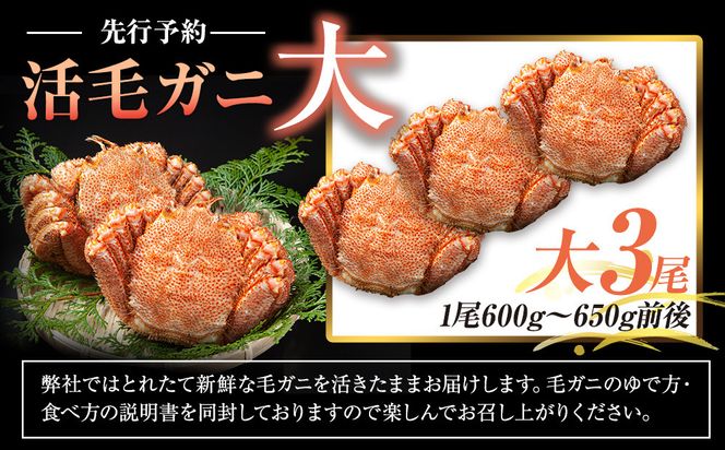 【先行予約/2026年4月発送開始】活毛ガニ　大３尾（600g～650g前後） 016942_AH268