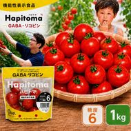 機能性表示食品 Hapitoma ハピトマ 糖度6（1kg）【配送不可：北海道・沖縄・離島】健康 ヘルシー GABA リコピン 人気 厳選 袋井市 野菜 トマト ミニトマト とまと 