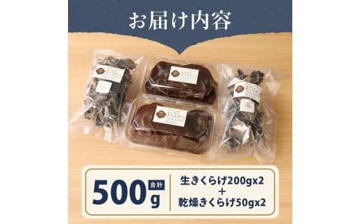 富士山の大自然が育てた「ふじやま きくらげ」(生きくらげ200g×2、乾燥きくらげ50g×2)