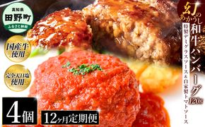 幻のあかうし和牛ハンバーグ 4個入り 12ヶ月定期便 1個120g 特製デミソース トマトソース付き 田野屋青蜂 白鯆 完全天日塩練り込み 肉 お肉 国産牛 おかず おいしい お取り寄せ 冷凍 配送 高知県 田野町