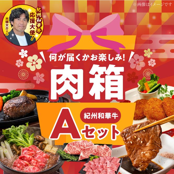 お楽しみ肉箱 Aセット お試し ドキドキ 黒毛和牛 ハンバーグ ステーキ ロース ヒレ 焼肉 すき焼き しゃぶしゃぶ 盛り合わせ コロッケ ローストビーフ 食品 和歌山県 湯浅町 送料無料_BN6134