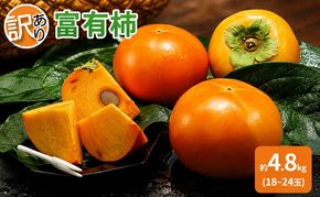 訳あり 柿 富有柿 約4.8kg 18～24玉 配送不可 離島 果物 フルーツ 秋の味覚 旬 デザート 果実 柿の王様 甘柿 代表品種 朝倉の柿 おやつ 