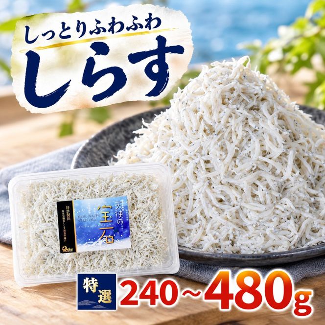 鮮度抜群 釜揚げしらす 240g ~ 480g 小分け しらす 冷凍 大容量 惣菜 便利 弁当 晩ごはん 白州 白子魚介類 魚介類 海鮮 減塩 塩分控えめ わけあり 小魚 魚 鮮魚 個包装 簡単調理 グルメ 人気 海の幸 高知県産 ふりかけ ちりめん しらすご飯 国産 じゃこ しらす丼 人気 選べる 訳あり 特選 子供用 容量 安芸市 高知県