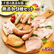 十勝の無添加肉 9種類の無添加セット ［うらがみミート］ 無塩せき 保存料・結着剤不使用【 ソーセージ チキン ベーコン ハム チャーシュー 詰め合わせ 肉 豚 鶏 国産 惣菜 おつまみ 料理 加工品 北海道 十勝 幕別 】