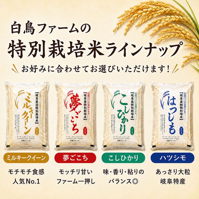 【令和7年産】特別栽培米 10kg【白米、7分ツキ】（夢ごこち）