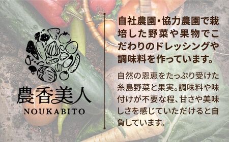 糸島そだちの にんにく ドレッシング ×3本セット【農香美人】[AAG003]
