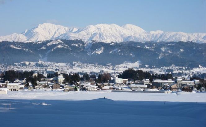 【定期便／3ヶ月】魚沼産川西こしひかり5kg