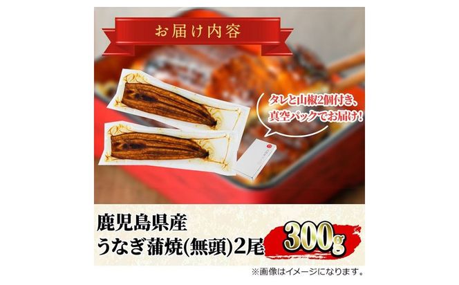 【0124326a-2601】＜1月上旬発送予定＞東串良町のうなぎ蒲焼(無頭)(2尾・計約300g・タレ、山椒付) うなぎ 高級 ウナギ 鰻 国産 蒲焼 蒲焼き たれ 鹿児島 ふるさと 人気【株式会社アクアおおすみ】