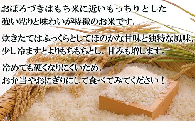 令和7年度産 北海道米 おぼろづき 白米 10kg (5kg×2) 北海道 新ひだか町